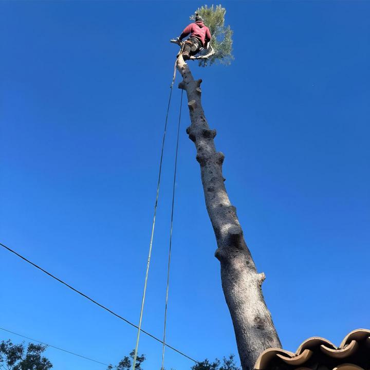 Vente de matériel de piscines Var