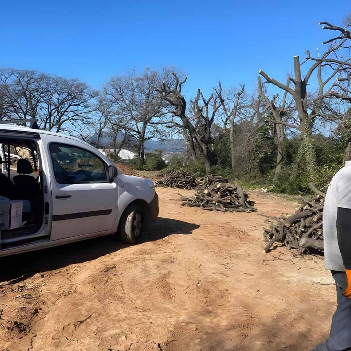 Restauration de piscines Var